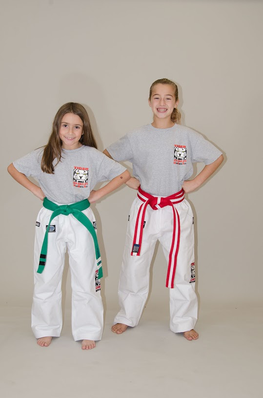 Two little girls in karate stance with belts