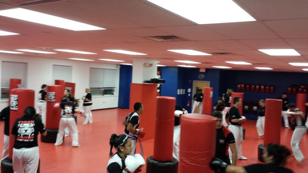 Adults team Training with punching bags at Tiger Schulmann's Stamford