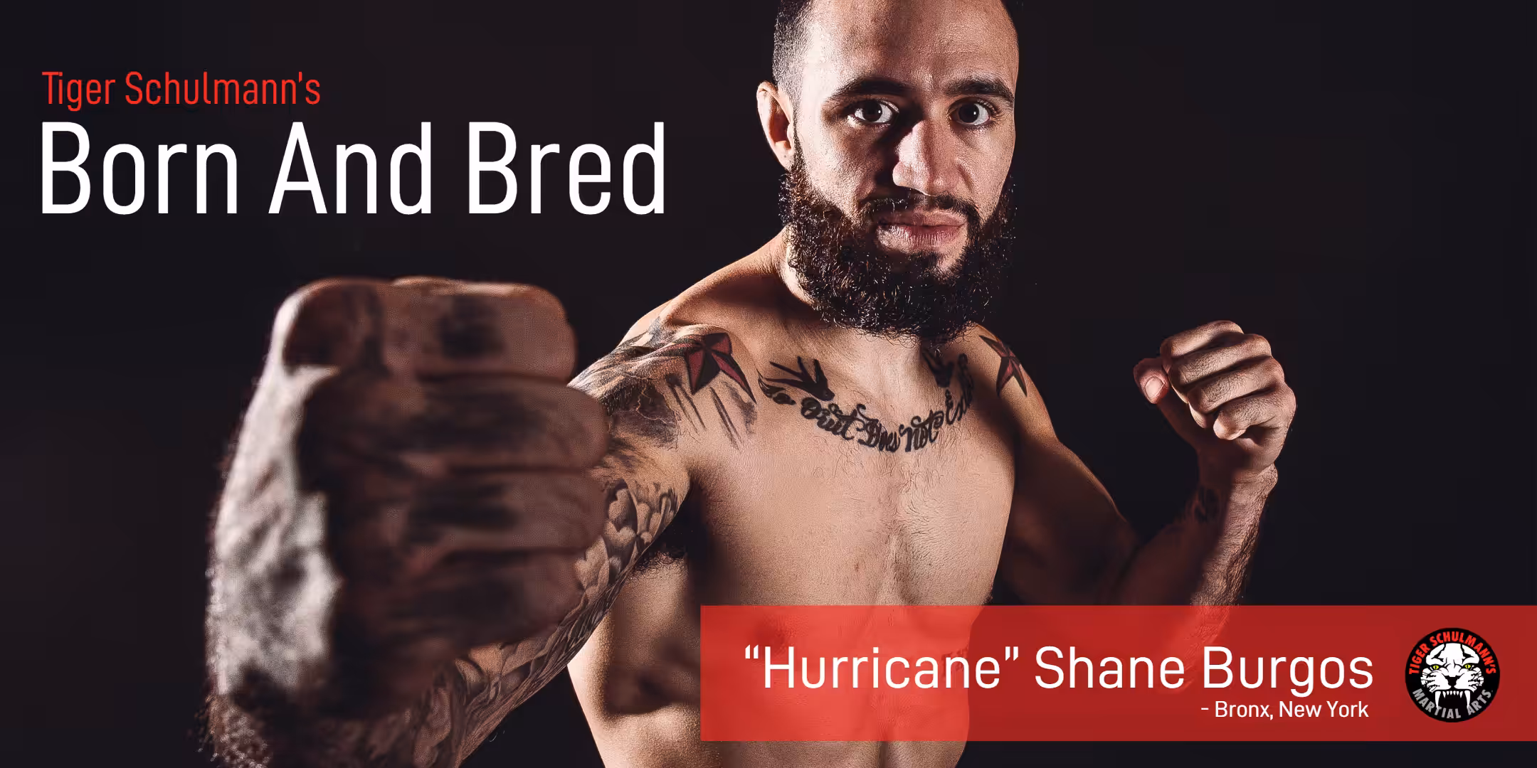 Shane Burgos born and bred promo card