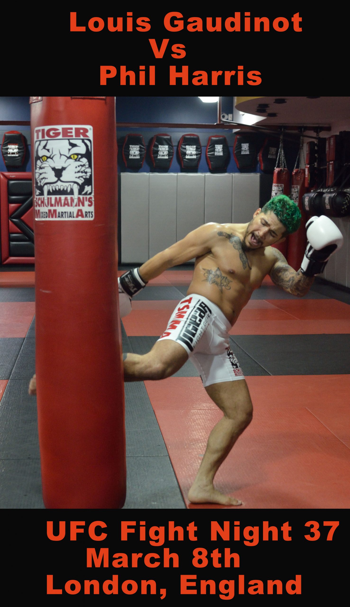 MMA fighter Louis Gaudinot Kicking A Punching Bag at Tiger Schulmann's