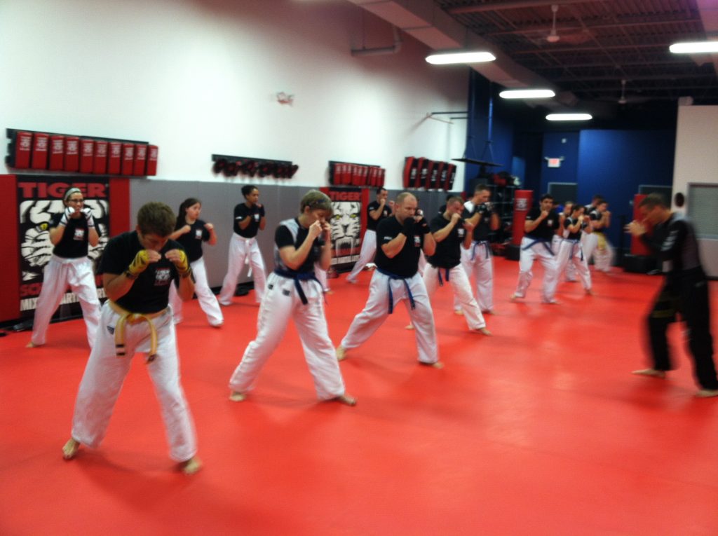 Adults martial arts Training with instructor at Tiger Schulmann's Wayne