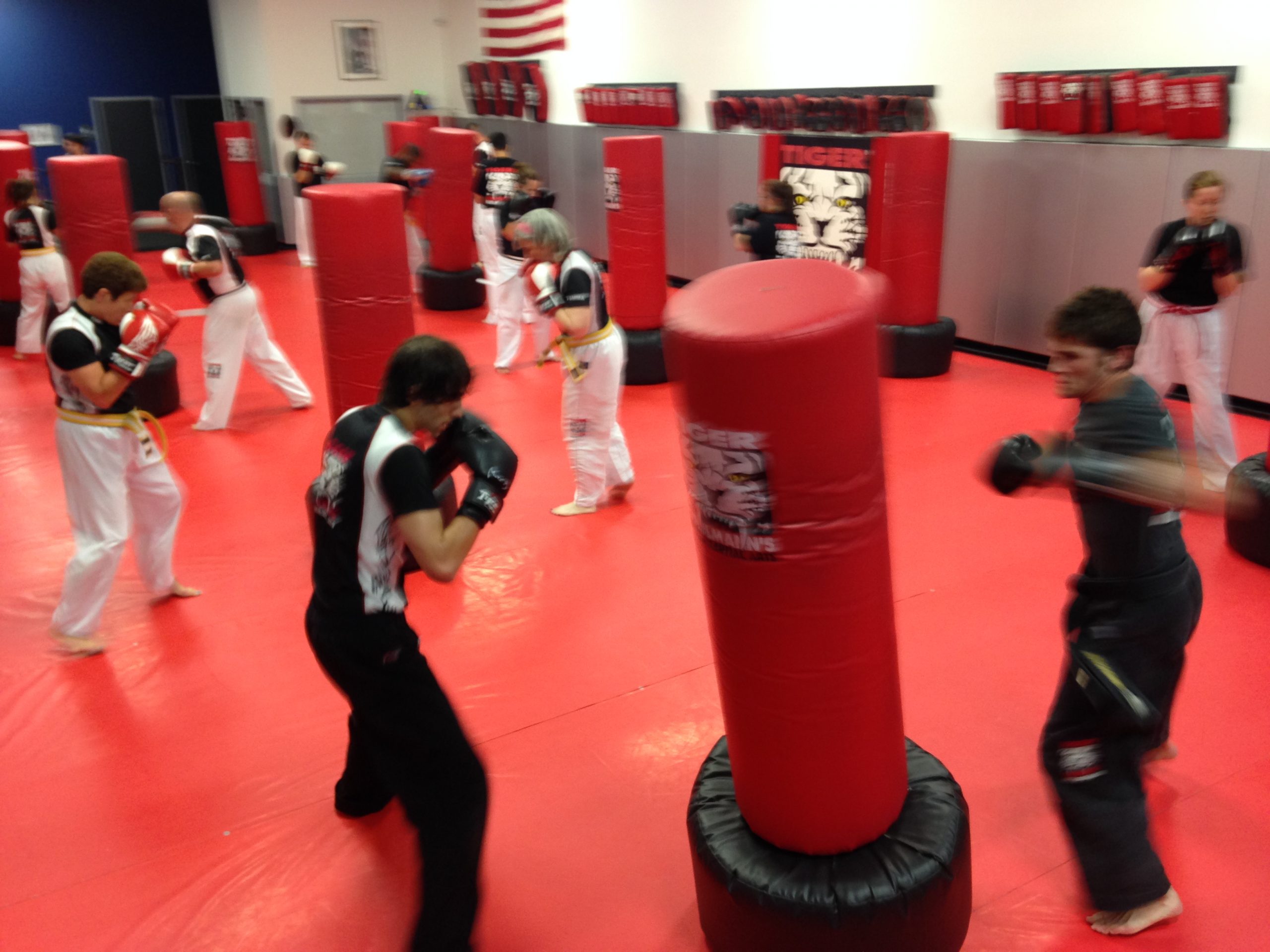 Adult team kickboxing training with punching bags at Tiger Schulmann's