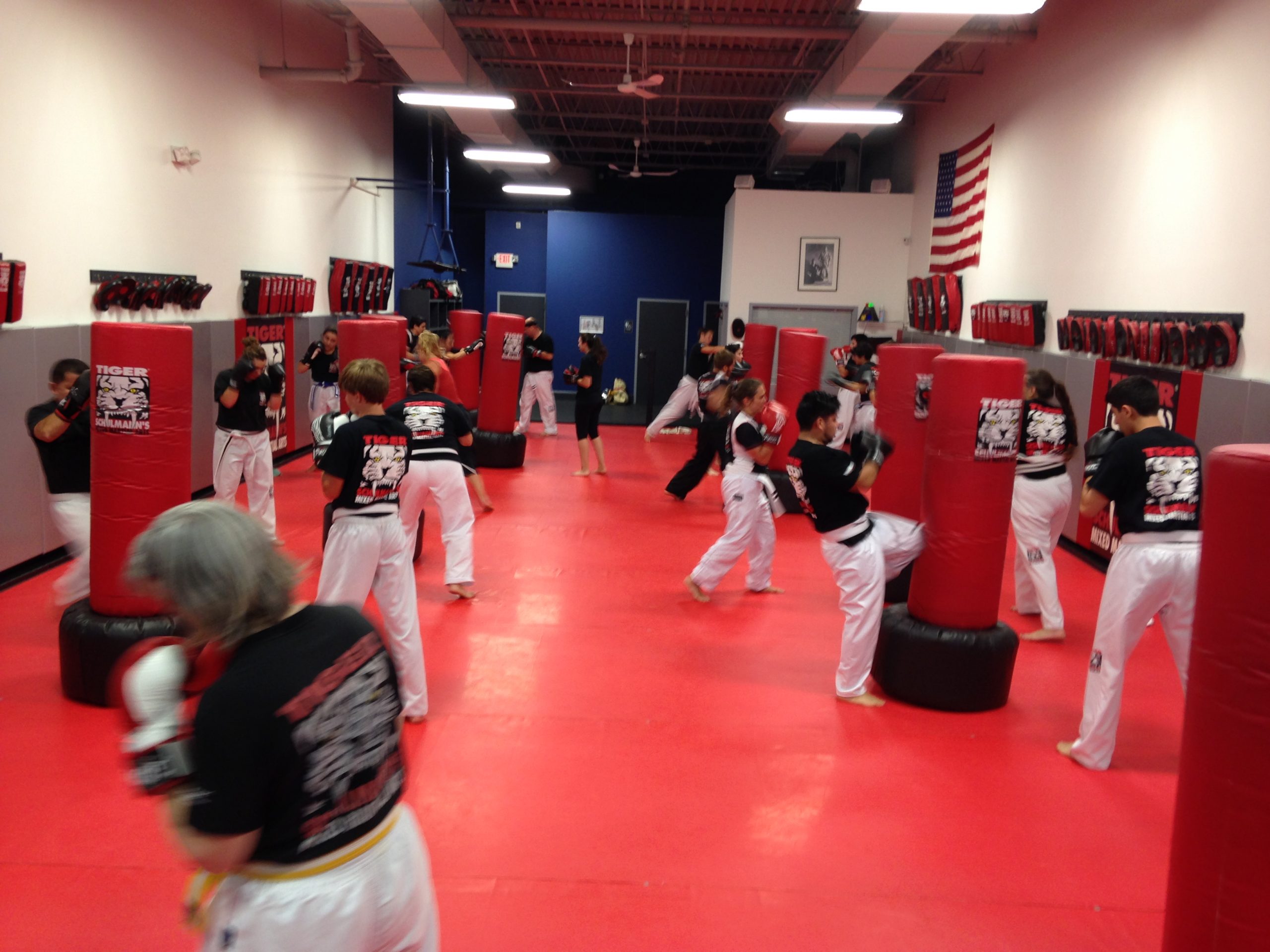 Adult team kickboxing training with punching bags at Tiger Schulmann's