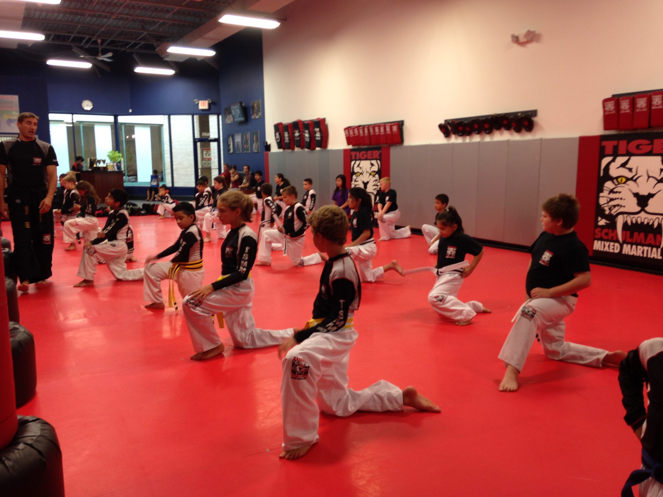 does-mixed-martial-arts-have-an-impact-on-the-well-being-of-children