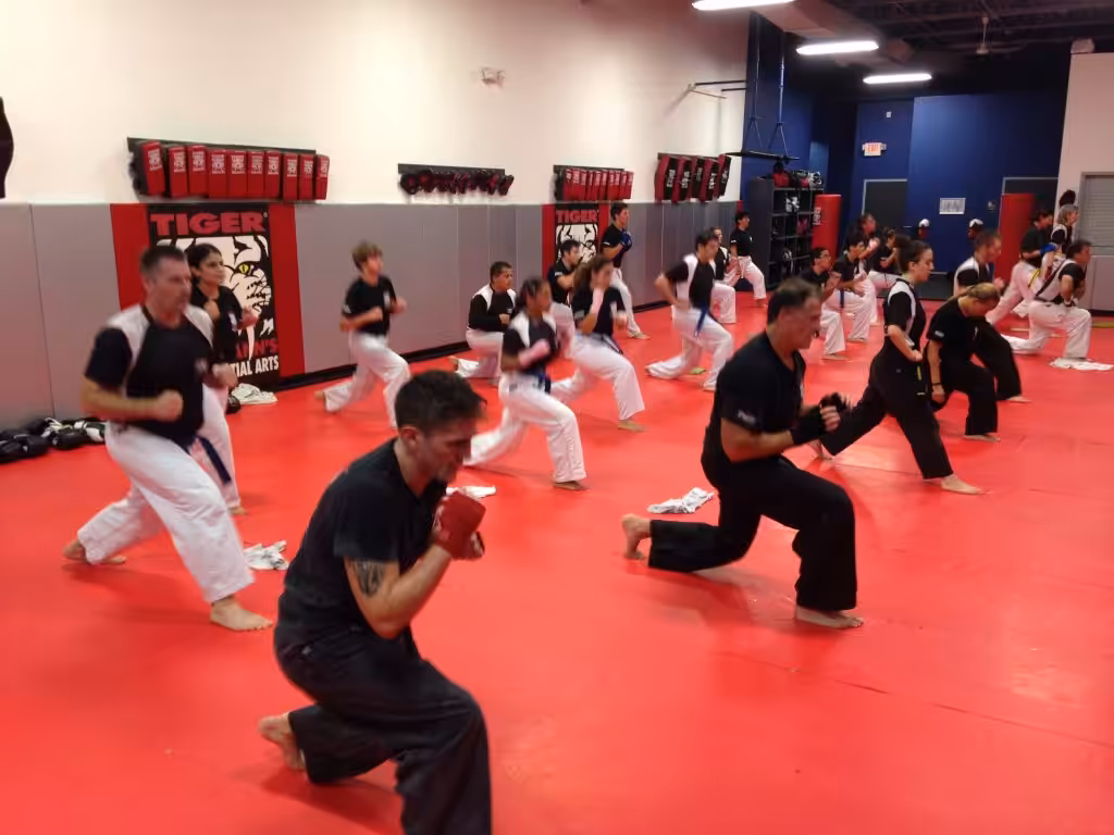 Adults Training martial arts training at Tiger Schulmann's Wayne
