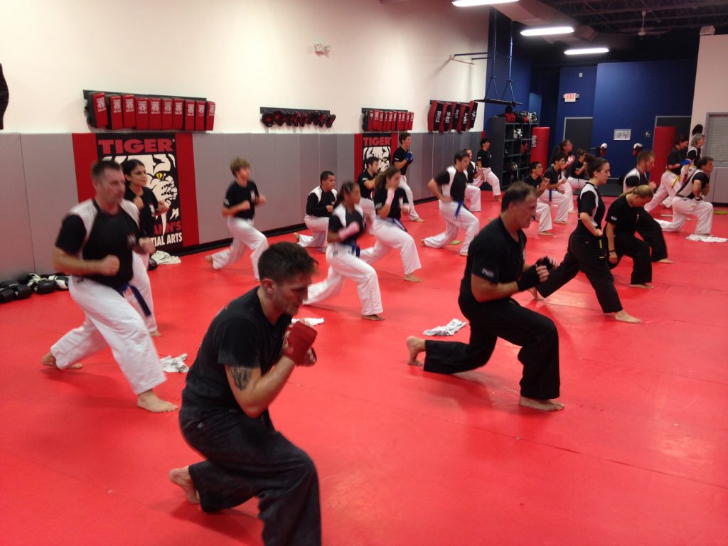 Adults Training martial arts training at Tiger Schulmann's Wayne