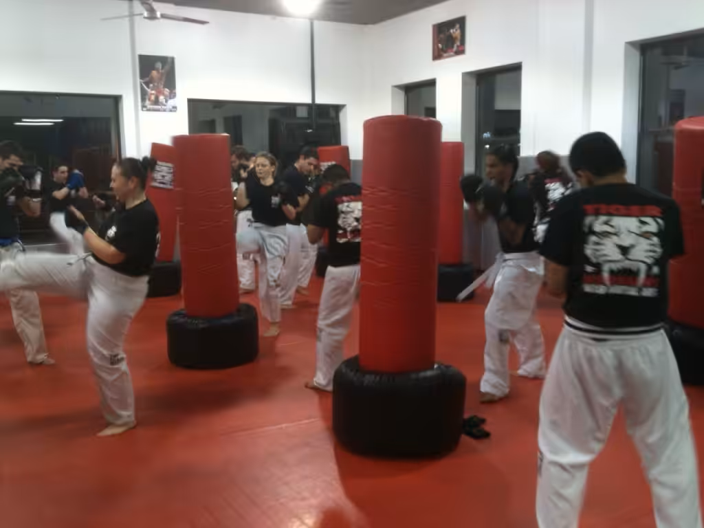 Martial arts fighters working out using red punching bags at Tiger Schulmann's