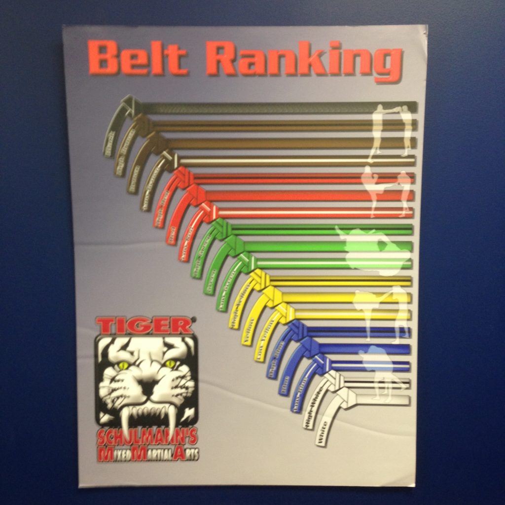 Tiger Schulmann's Martial Arts Belt Rankings and colors