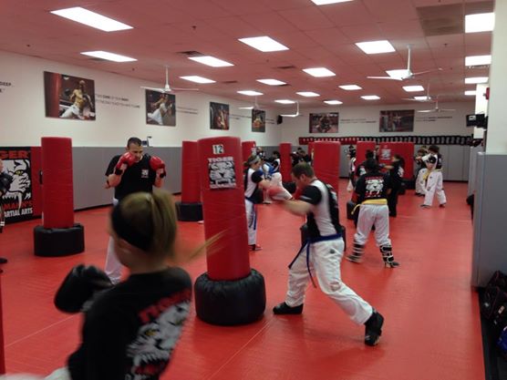 Tiger Schulmann's Martial Arts | Adults Training