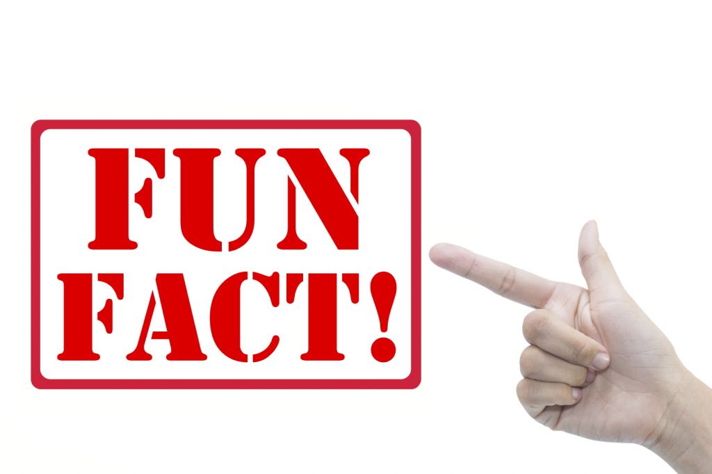 Fun Fact in red letters with exclamation mark and rounded