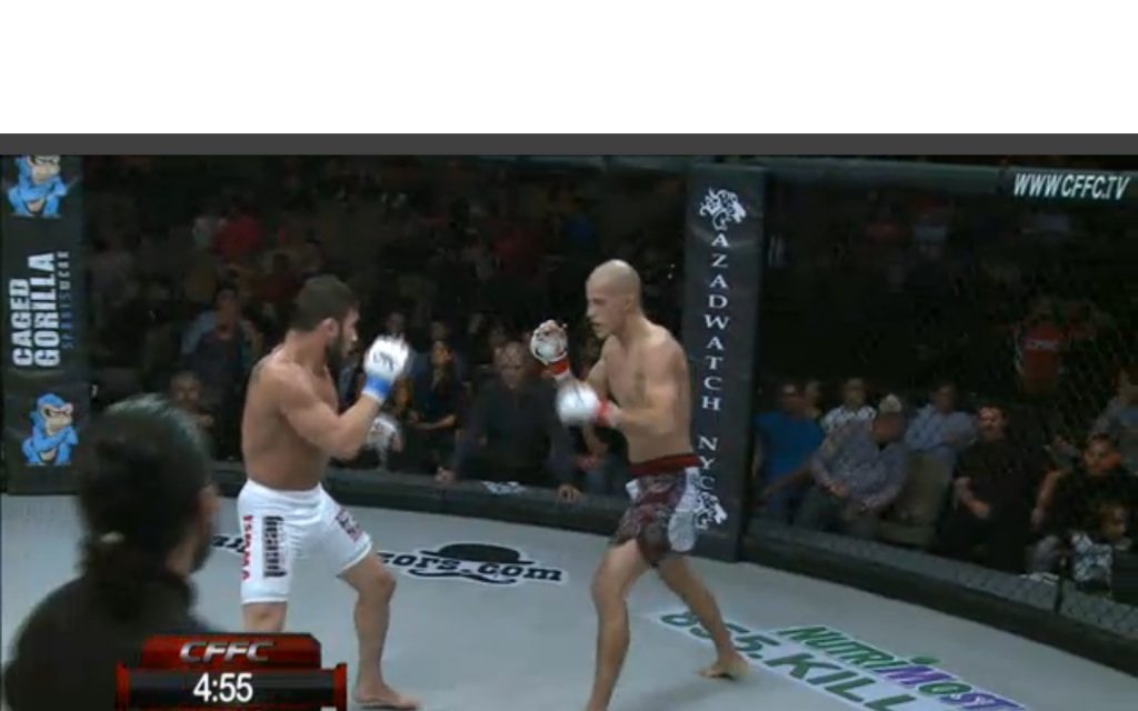 Two Men Fighting in the octagon with referee and the audience