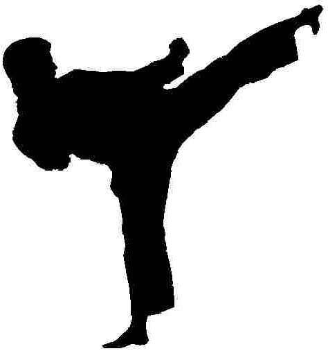 Tiger Schulmann's Martial Arts | Man Kicking Silhouette