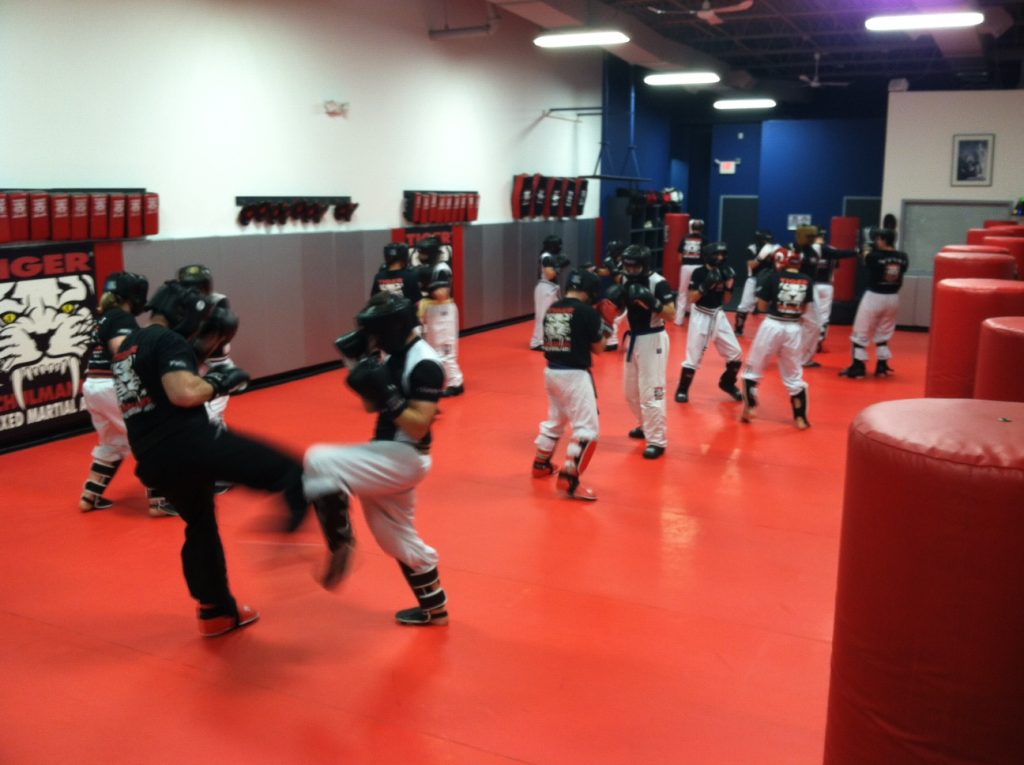 Team martial arts Training at Tiger Schulmann's Wayne