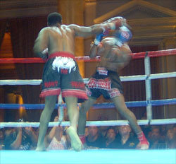 Will Hamilton won US Muay Thai Super Light Heavyweight Title with one punch knockout of Steven Richards.