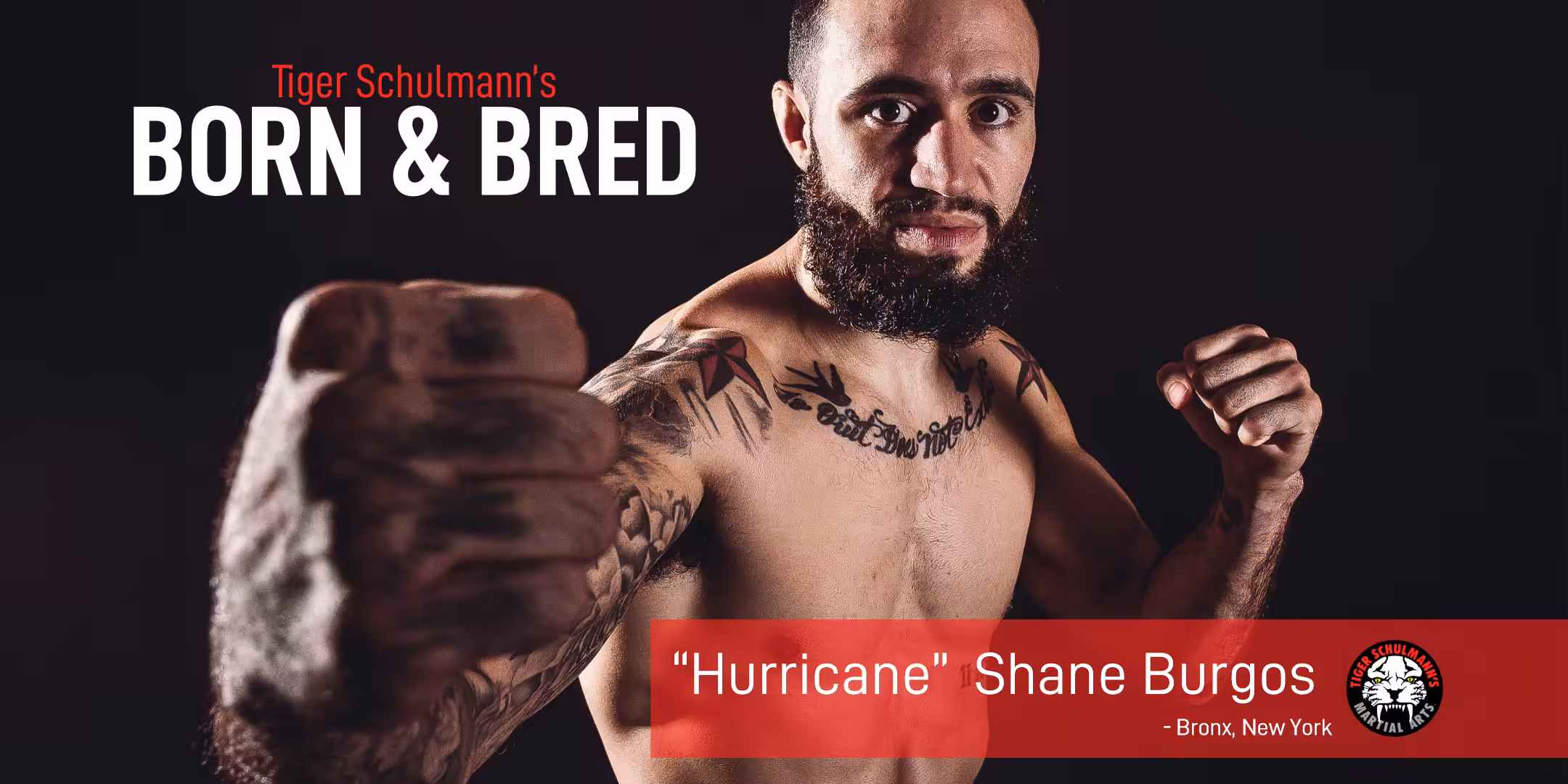 Tiger Schulmann's MMA fighter Shane Burgos with fists up
