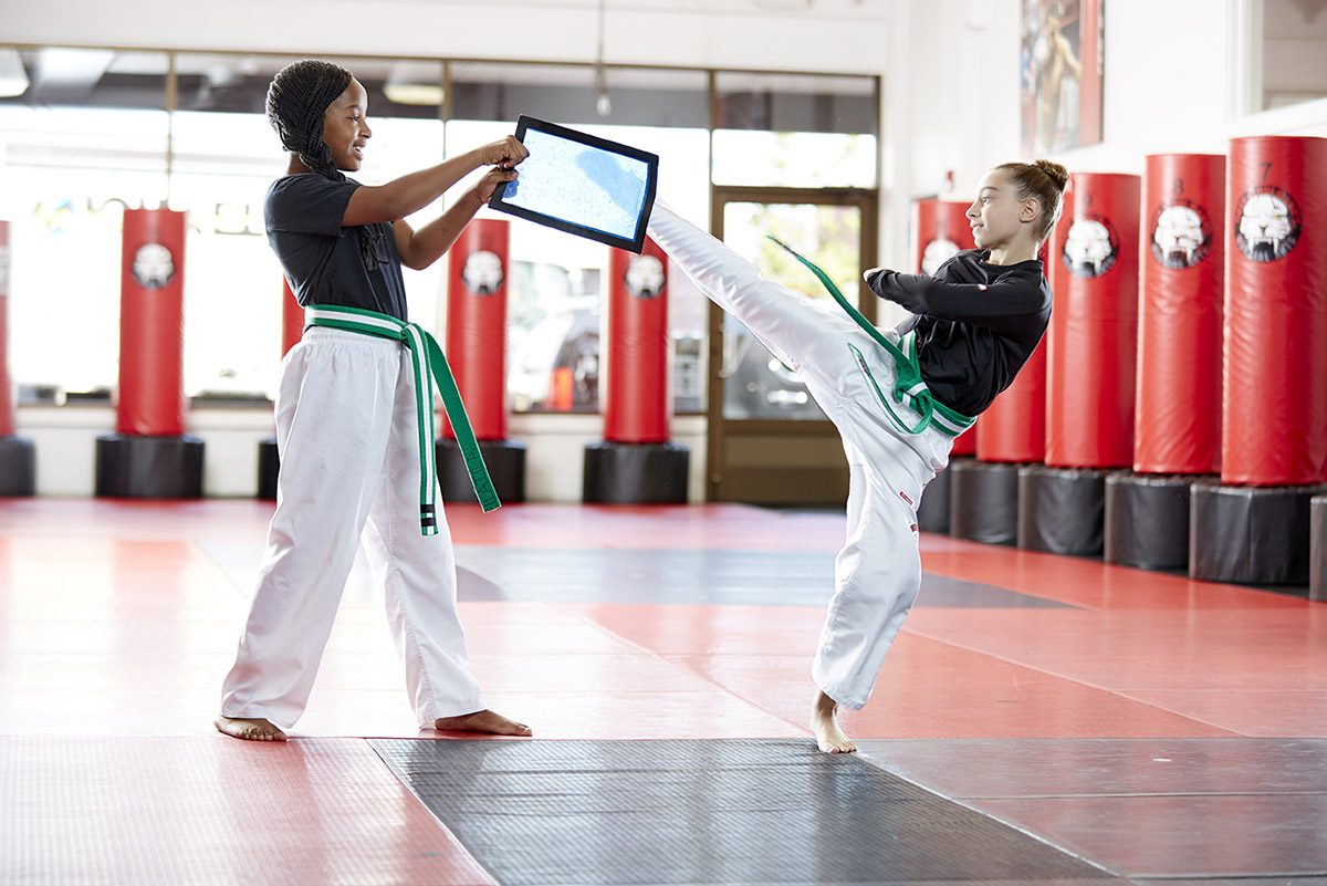 tiger schulmann karate