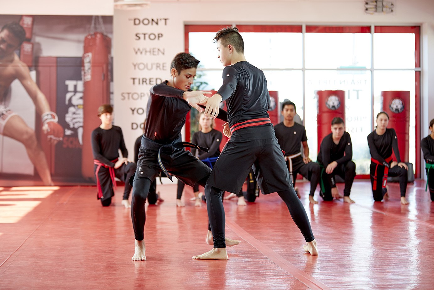 Tiger Schulmann's Martial Arts | Jiu Jitsu
