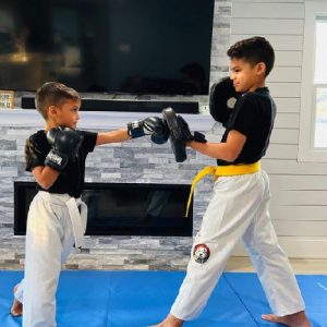 Two boys martial arts students sparring at home