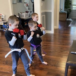 Three boys with fists up waching MMA instructional video in living room