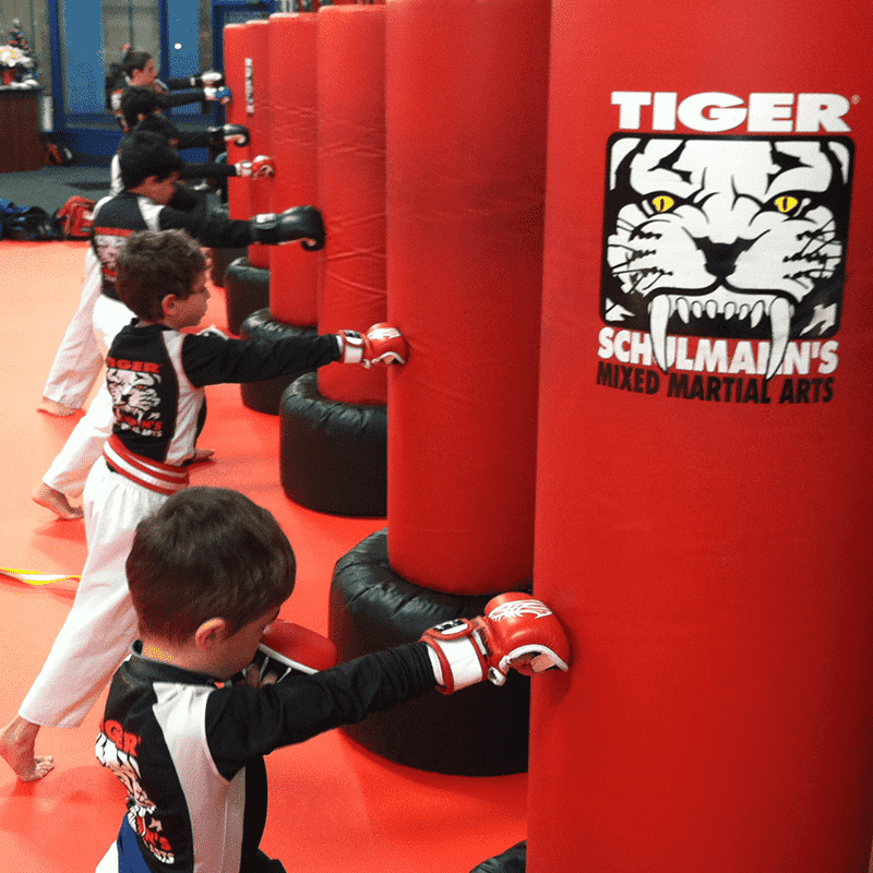 Kids punching bags at Tiger Schulmann's in Englewood