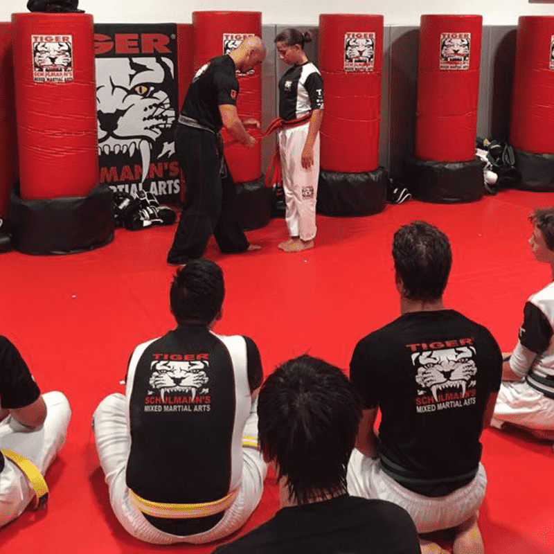 tiger schulmann's martial arts gear