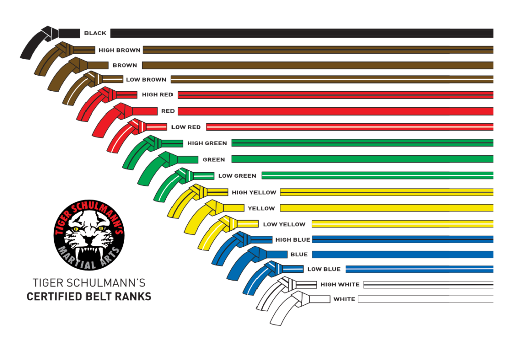 Chart of certified belt ranks within Tiger Schulmann's