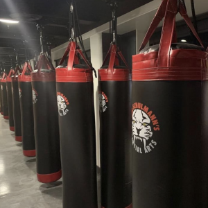 Black punching bags at Tiger Schulmann's Jackson Heights