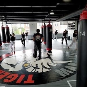 MMA workout at Tiger Schulmann's Chelsea